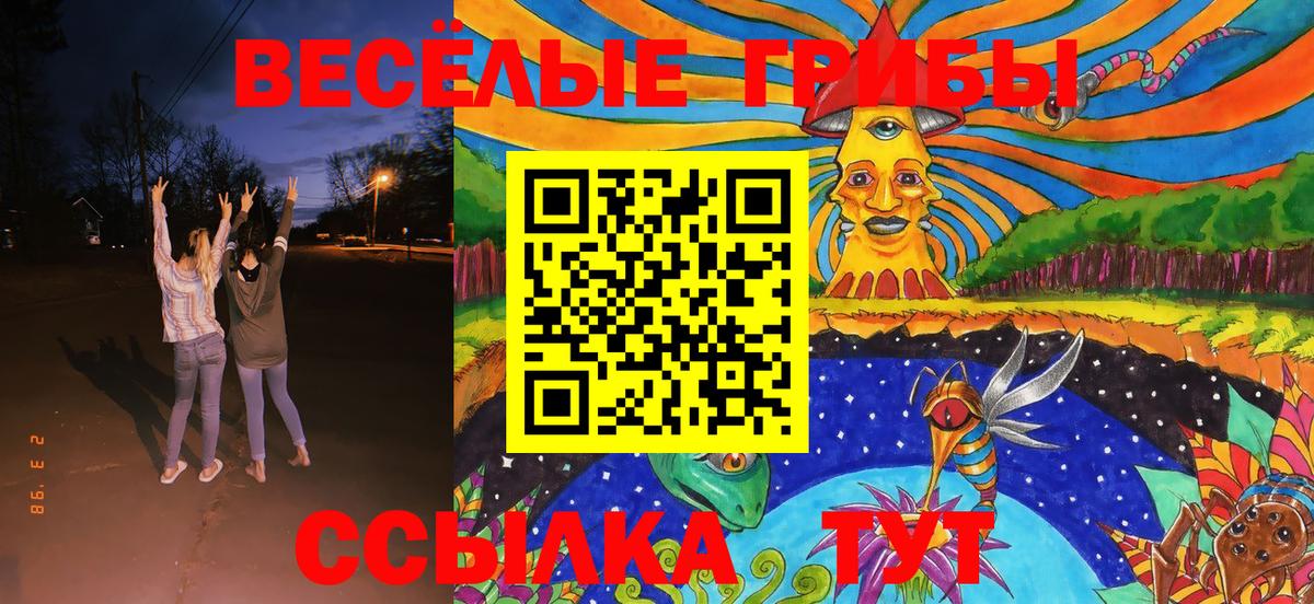 Галлюциногенные грибы Psilocybine cubensis Новочебоксарск
