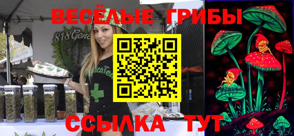 Псилоцибиновые грибы ЛСД  купить наркотики сайты  Новочебоксарск  Галлюциногенные грибы мицелий  Вход с VPN 